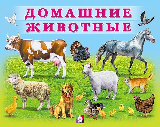 Окружающий мир - домашние животные учебник развитие у детей знаний и подготовка к школе